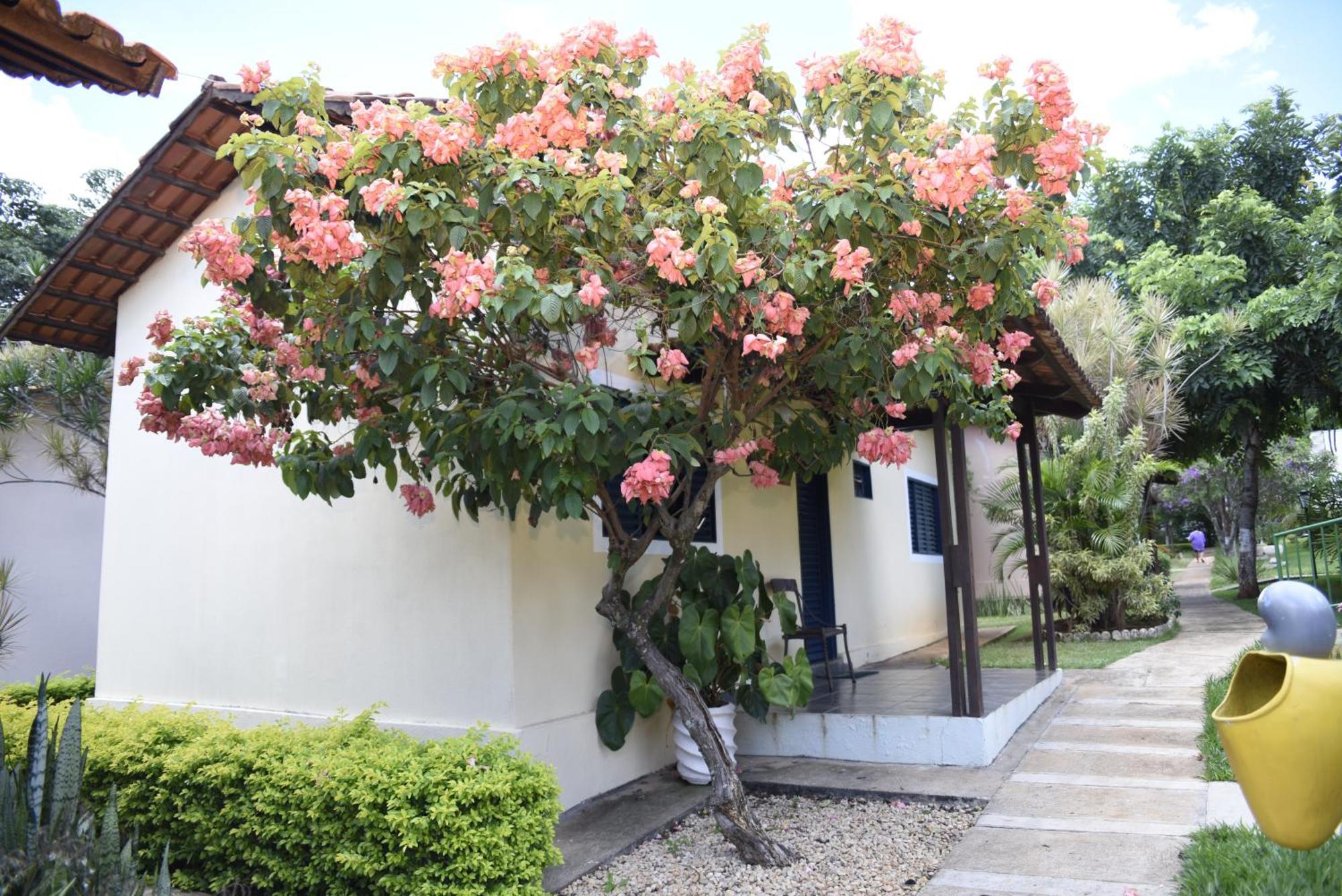 Rosa Spa E Pousada Aparecida de Goiania Bagian luar foto